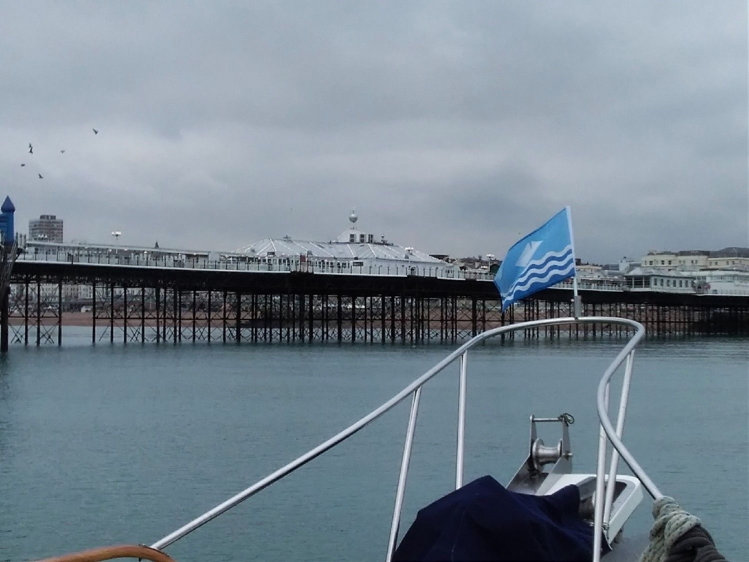 brighton prestige boat trips